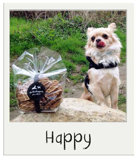 Happy Oeufs de pâques pour chiens